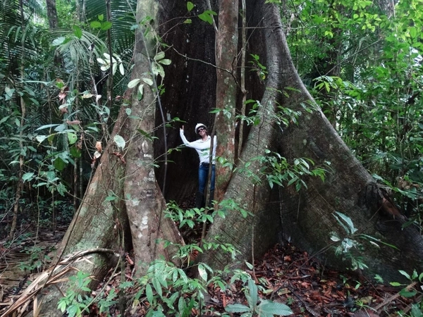  Rainforest Protection In Central Brazil  -  Black Label Uk 1