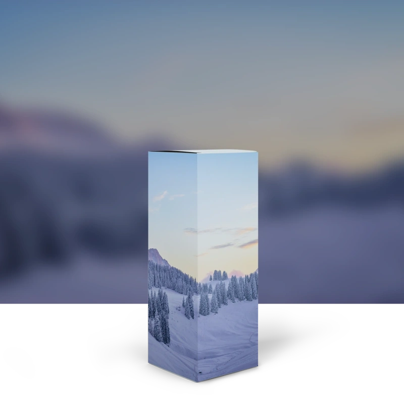Printed card boxes